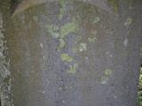 image of grave number 905258